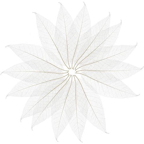 Decoración de hojas naturales para manualidades y scrapbook miniatura 1
