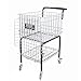 Foldable Tennis Cart Holds 350 Balls with Easy Load Portable Steel Ball Trolley for Tennis/Pickleball/Baseball