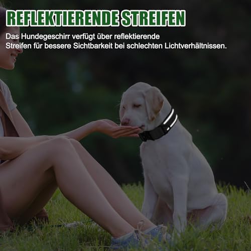 FEimaX Hundehalsband Personalisiert Hunde Halsband für Kleine Mittelgroße Hunde, Breite Reflektierende Verstellbares Taktisch Hundehalsband mit Metallschnalle für Ausbildung (Schwarz, M)