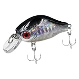 Conçu avec un profil mince de vairon et des perles internes en acier générant du bruit, il surpasse les leurres traditionnels en attirant les poissons par le son, les vibrations et les mouvements de nage