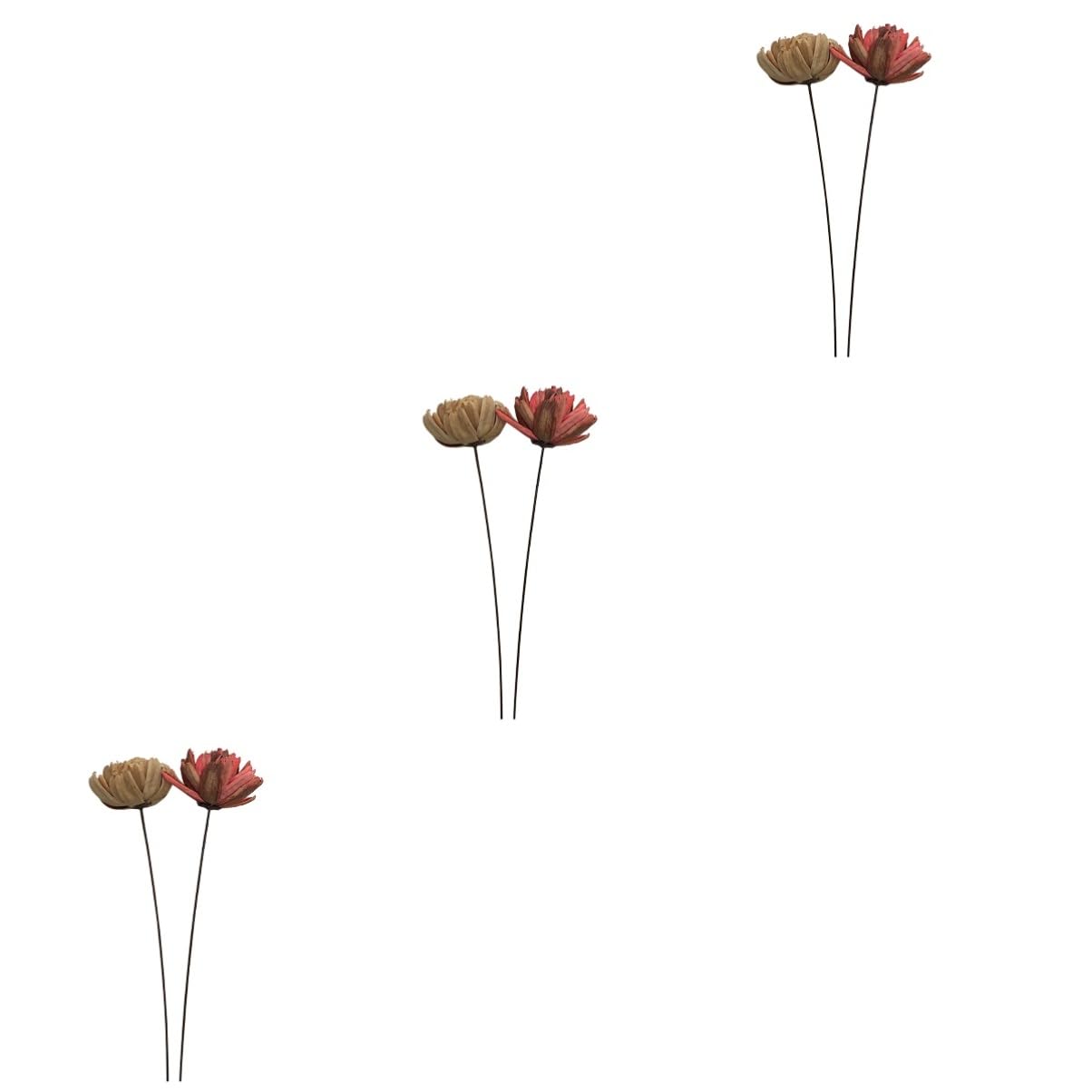 Alipis 6pièces Bouquet Décoratif Naturel Séché De Fleurs Préservées pour Décoration Intérieure Artisanat Ambiance Naturelle pour Maison Et Événements