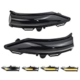 Passend für: Dynamische LED Blinker Spiegelleuchte für For-d Fiesta MK8 2019