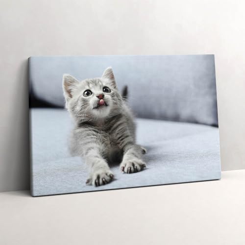 Toile murale chaton mignon 60x40cm pour une ambiance chaleureuse