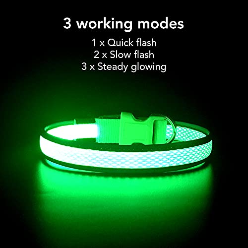 YFbrite Leuchtendes Hundehalsband, wiederaufladbares LED-Hundehalsbands, blinkendes verstellbares reflektierendes Hundehalsbands, Sicherheit leuchtet bei Nacht (Grün, S)