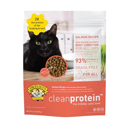 Image of Dr. Elsey'S Cleanprotein Salmon Formula Dry Cat Food, 2 Pound (Pack of 1)