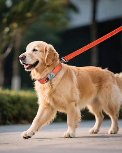 Image of Joytale Dog Collar for Extra Large Dogs, Neoprene Padded and Adjustable, Reflective Wide Heavy Duty Pet Collars with Durable Metal Belt Buckle for Walking, Orange, XL