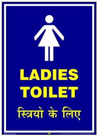 Ladies Toilet Sign Pvc Sticker A4 8 25 Inch X | Desertcart UAE