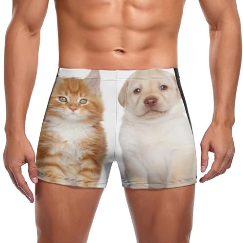 Maillot de bain pour homme avec motif chat orange et chien style short