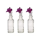 Luna Bazaar Small Vintage Glass Bottle Set (6.5-Inch, Calista Cylinder Design, Clear, Set of 3) - Flower Bud Vase Set - For Home Decor and Wedding Centerpieces