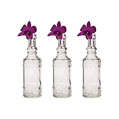 Luna Bazaar Small Vintage Glass Bottle Set (6.5-Inch, Clear, Calista Cylinder Design, Set of 3) - Flower Bud Vase for Home Décor and Wedding Centerpieces