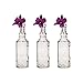 Luna Bazaar Small Vintage Glass Bottle Set (6.5-Inch, Calista Cylinder Design, Clear, Set of 3) - Flower Bud Vase Set - For Home Decor and Wedding Centerpieces