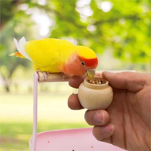 Boîte à nourriture oiseaux x6 réutilisable pour jardin - 6