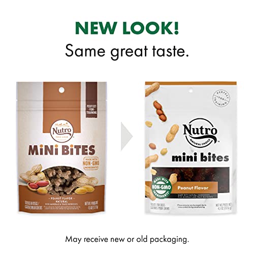 Nutro Mini Bites Small Natural Dog Treats Peanut Flavor, 4.5 Ounce (Pack Of 8) #TOP2