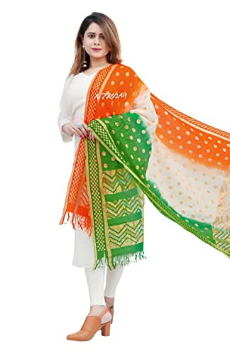 Women's & Girls Art Silk Net Ethnic Dupatta/Chunni With Gold Zari Work (2.25 Meter), Tiranga, Free Size2