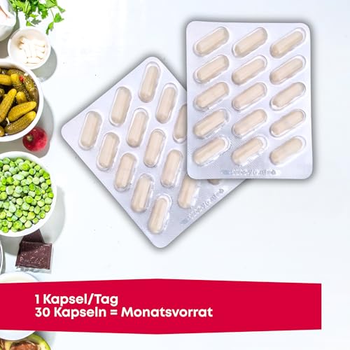 Darmbakterien Probiotika – hochdosiert – 35 Milliarden Bakterien für die Darmflora – 14 Stämme aus Bifidobakterien… – Ansicht 4