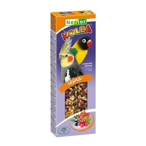 Twin Pack Cockatiel Parrot FOREST FRUITS Seed 2x Sticks Parrots Large Parakeets Cockatoo 115g Bird Food Budgie Canary Finches Seeds Birds Conures Treats Cockatiel Snacks Pack of Two + Hooks