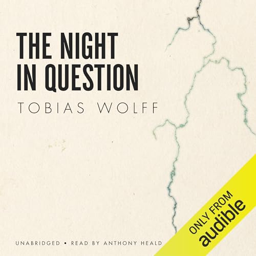 The Night in Question cover art