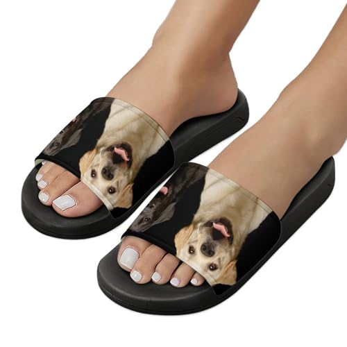 Chaussons de Maison Slide Souples avec Motif Chien Labrador Mignon