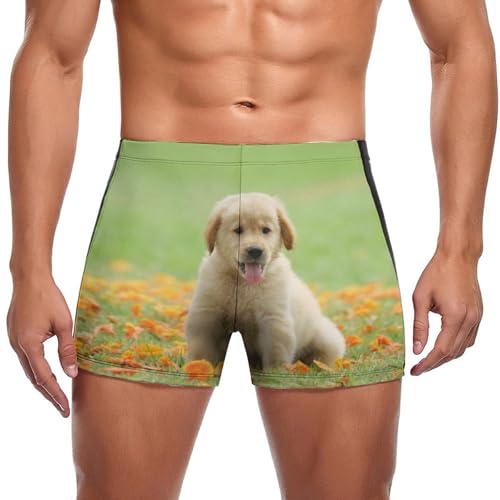 Boxer de bain homme de qualité supérieure avec motif chiot retriever
