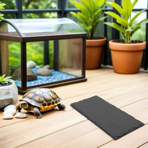 Plataforma de piedra para reptiles antideslizante con rampa de escalada 7