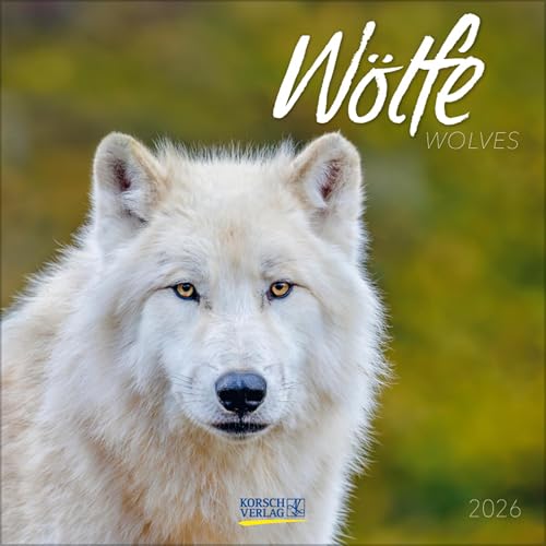 Wölfe 2026: Broschürenkalender mit Ferienterminen. Fasziniernde Bilder von Wölfen. 30 x 30 cm