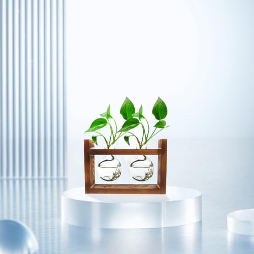 Jarrón hidropónico de cristal soplado y base de madera resistente Zerodeko 7