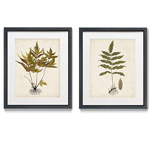 Renditions Gallery Fern Botanical I 2 Piece Framed Artwork Set, Colorful Floral, Flower Art, Brown, Green, Yellow, Black Matte Frame & White Mat, Plexiglass, 16 In W X 20 In H, Made in America