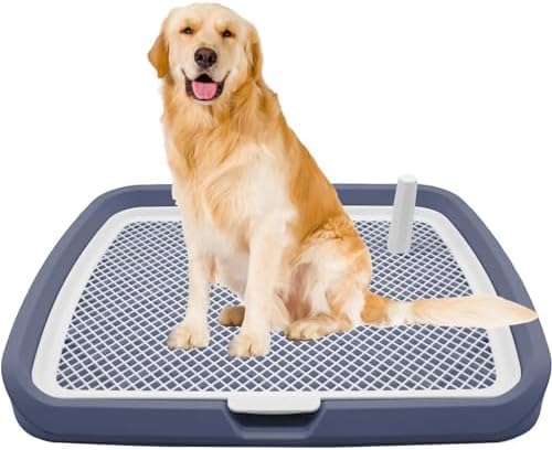  gC  gCg[ ybg gC ybg gCg[  gCg[ ͂ݏopgCgC GbWt ~߃g[jObV Ǌ|gC ppbg{bNX  O ybgpiybggCC[^gC gC C