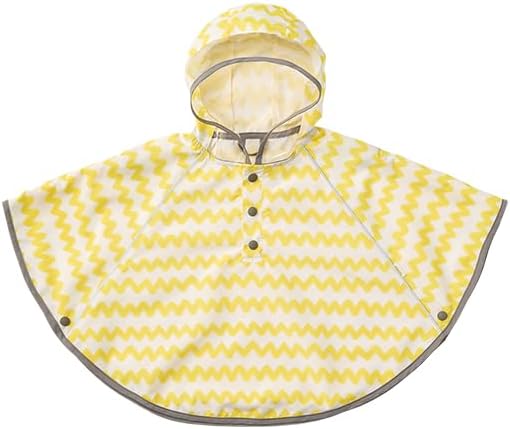 ビブリオポリ-ベートーヴェンの肖像画 アンティークドイツ