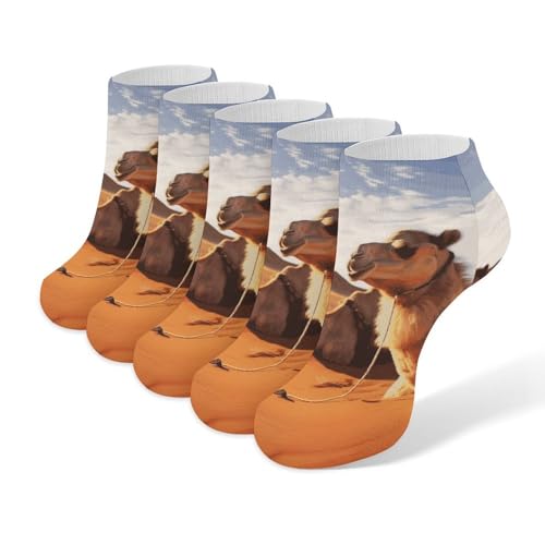 Camels Rest Desert Socks Low Cut Ankle Sock Short Socks Casual Socks Running Hiking Socks 5 Pairs Unisex