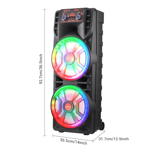 ROXAAN Dual 12’’ Wireless Party Bluetooth Speaker with Microphone, Remote, Portable PA Speaker System, RGB LED Party Lights, Karaoke Machine with Treble & Bass, FM/AUX/USB/TF/TWS/Echo - Thumbnail 7