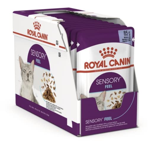 Royal Canin Sensory Feel Jelly | 12 x 85 g | Nassfutter für ausgewachsene Katzen | Stückchen in Gelee | Zur Anregung des Mundgefühls | Instinktiv bevorzugt