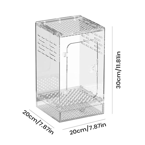 Terrarium pour araignées ventilé et transparent anti-évasion - 6