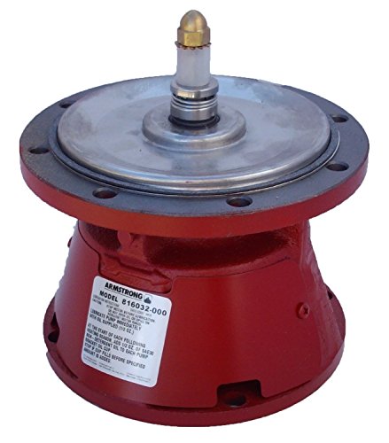 Armstrong 816032MF-000 Pump Bearing Assembly