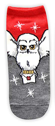 Harry Potter Meias femininas Hedwig Marauders Map Platform 9 3/4 Juniors/Pacote com 5, Multi, 4-10