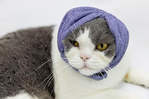 Image of Cat Hematoma Ear Wrap,Noise Cancelling Calming Anxiety & Stress Relief - Ear Cover for cat Purple S