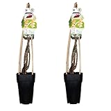 unsere-gaertnerei-mueller