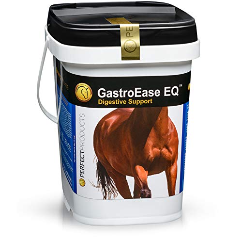 Perfect Company Gastroease 5 Pound #TOP1