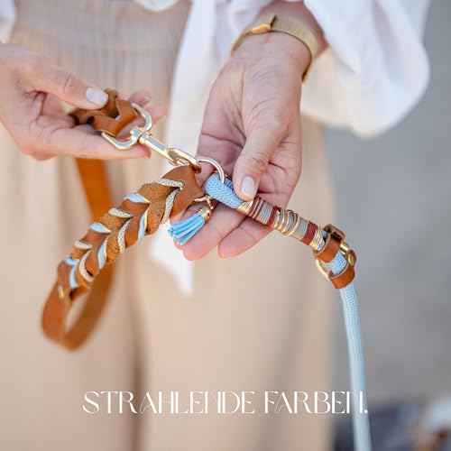 FAMBLANETIA Hundeleine Leder (2,4m), Paracord | mittelgroße, große & kleine Hunde | Geflochtene Führleine zum Umhängen | 2 Karabiner verstellbar | Hochwertig Fettleder handgemacht braun blau Luxus Tau