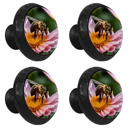 Poignées d'armoire noires abeille pour tiroir et commode