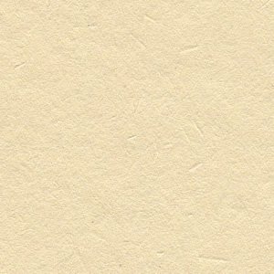 Vot 104.7g  A4TCY 500 Ȃ