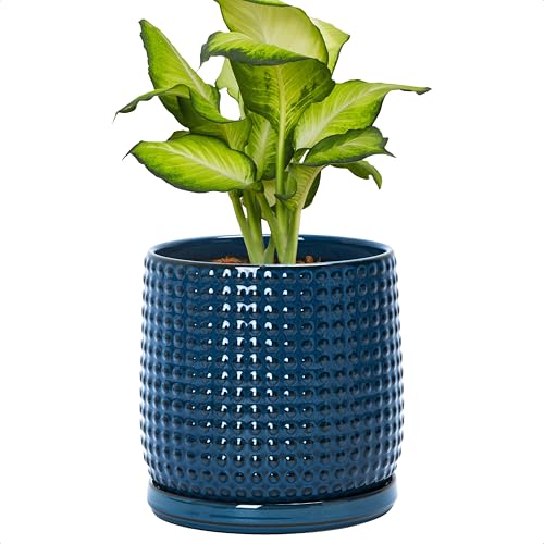 D'vine Dev Beaded Ceramic Pot with Saucer, 6 in, Midnight Blue, 27-C-X-3