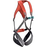 Black Diamond Momentum Full Body Harness - Kid's Octane/Slate One Size
