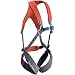 Black Diamond Momentum Full Body Harness - Kid's Octane/Slate One Size