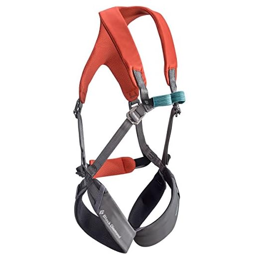 Black Diamond Momentum Full Body Harness - Kid's Octane/Slate One Size