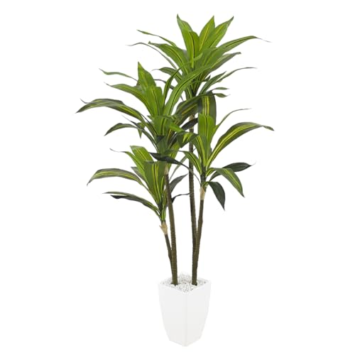 RAKU tFCNO[  120CM ϗA lHϗt ϗtA tFCN  Vv ItBX  CeA ^   lH j ̓ ()