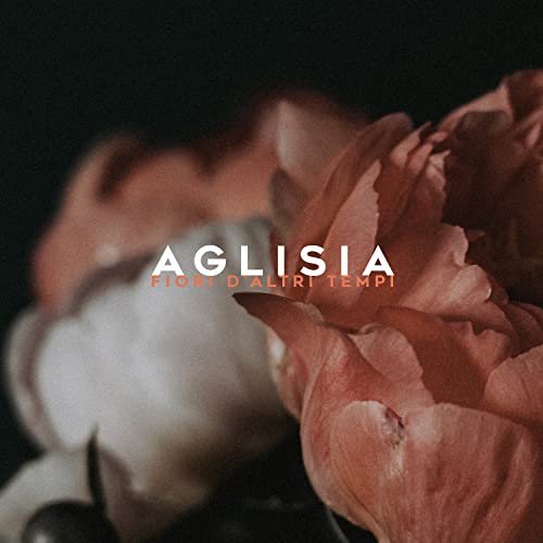 Aglisia