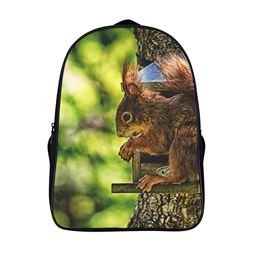 Sac d'école écureuil 3D pour adolescent sac à dos mixte de 40x28x16cm