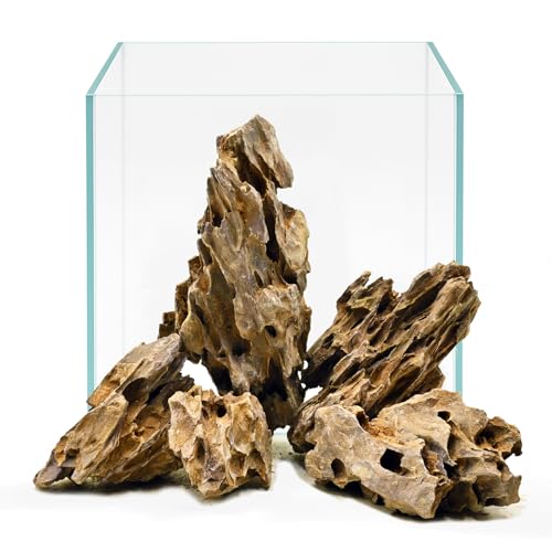 kecilke ANAE bNX hSXg[ 2-4C`   فA^NA&ރGN[Wp-5|h