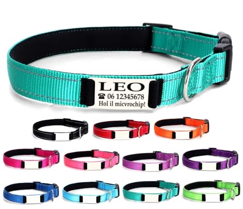 Ibera Gifts - Collare Cane Personalizzato Riflettente, Regolabile 25-40 cm - Collare Cane Con Nome Per Cani di Piccola Taglia (Turchese, S, Piccolo)